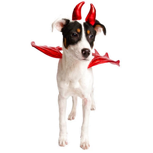 PET KREWE UNLEASH THE PARADE Pet Krewe Devil Dog Costume & Cat Costume - Attaches to Any Pet Harness, One Size Fits All Pets - Perfect for Christmas Holiday, Parties, Photoshoots, Gifts for Dog & Cat Lovers