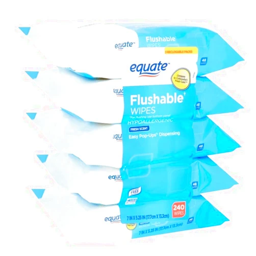 Generic Flushable Wipes, Fresh Scent, 5 packs of 48 wipes, 240 Total Wipes