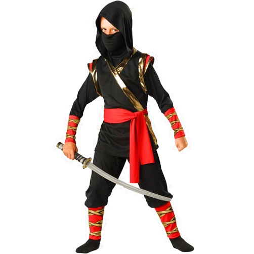 Fun World InCharacter Costumes, LLC Boys 8-20 Ninja Hoody Set, Black, Medium