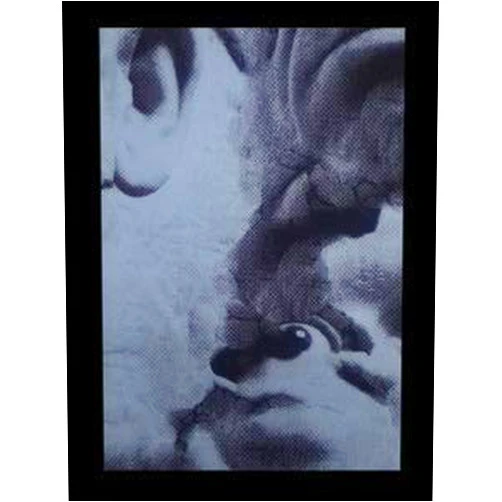 French Edition by Helmo (Author) Jazzdor