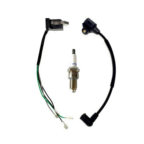 POWER PRODUCTS 4-Wire Magneto W/Built-in CDI Ignition Coil Spark Plug For Harbor Freight Storm Cat 60338 69381 For Tail Gator 800 900W 63025 63024 For Pulsar PG1202S For ETQ950 2HP 2-Cycle 63cc 64cc Gas Generator