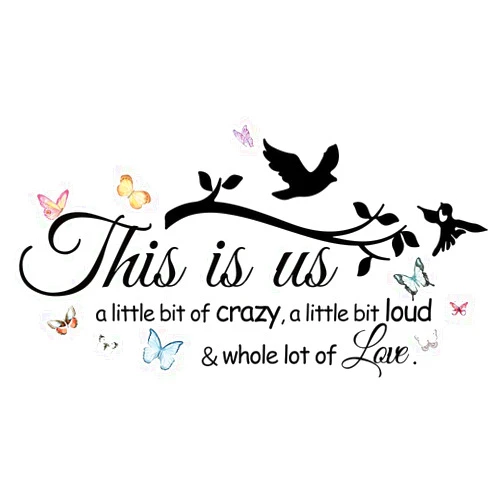 JioJio Chan Inspirational Quote This is us a Little bit of Crazy Loud Whole lot of Love Wall Decal Vinyl Sticker for Living Room Bedroom Family Decor Decoration Sticker (27.6''×15'')