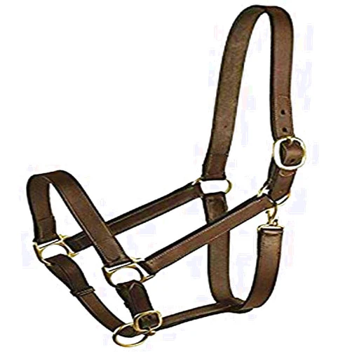 Gatsby Leather 282960 Stable Halter with Snap Havanna Brown, Yearling