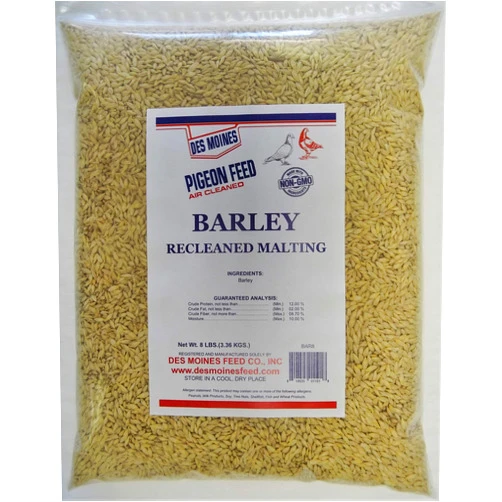 Des Moines Pigeon Feed Barley for Pigeons (2-Row Malting Barley) 8 lbs