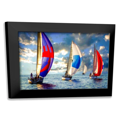 ArtDirect - Hausenflock, Alan 18x13 Black Modern Framed Art Print Titled: Headed Home II