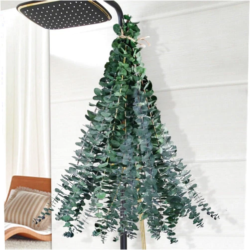 Koceko 12 Pcs Dried Eucalyptus for Shower Hanging - 17'' Real Large Preserved Eucalyptus Stems Green Home Decor, 100% Made from Fresh Eucalyptus Leaves, Bathroom Shower Decor, Wedding, DIY
