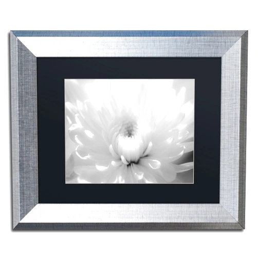 Trademark Fine Art Infrared Flower 2 by PIPA Fine Art, Black Matte, Silver Frame 11x14-Inch