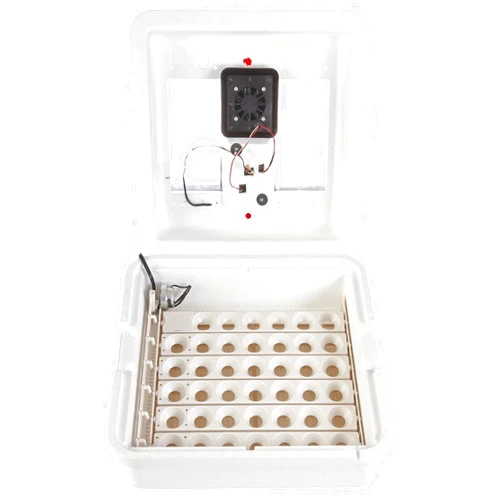 Little Giant® Digital Circulated Air Incubator with Automatic Turner | 41 Eggs | Egg Incubator with Fan and Egg Turner