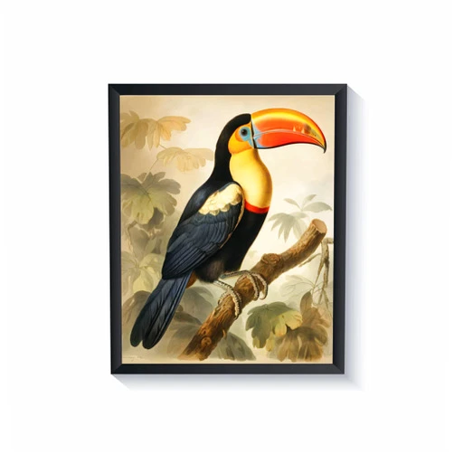 HomeArtPrint Toucan Poster Art Print Retro Vintage Bird Wall Art Poster Decor Nature, Avian Wall Decor Bird Themed. Vintage Inspired Bird Decor (Toucan, 11x14 inches (Unframed))