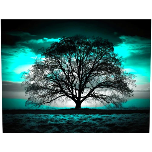Betepefet DIY 5D Diamond Art Kits Painting for Adults Black and White Tree Under Sunset Black and Teal（1） 30x40cm/11.7x15.8inches