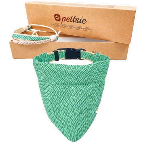 Pettsie Matching Dog Collar, Removable Bandana and Owner Friendship Bracelet, Gift Box, Durable Hemp, 3 Adjustable Sizes, Comfortable and Soft, Strong D-Ring for Easy Leash Attachment, S, Green