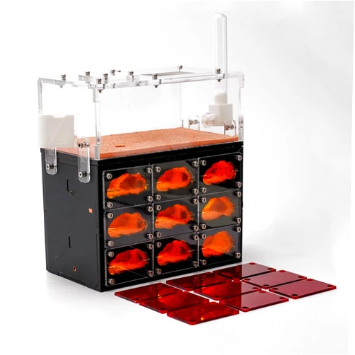 Rimsunta Ant Farm for Live Ants with Inner Lights - Large Viewing Area - Natural Learning Toy - Great Gift