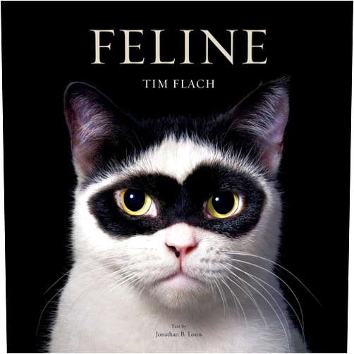 By Tim Flach (Author), Jonathan Losos Feline: Photographs