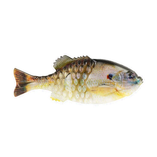 Berkley Powerbait Gilly Fishing Soft Bait