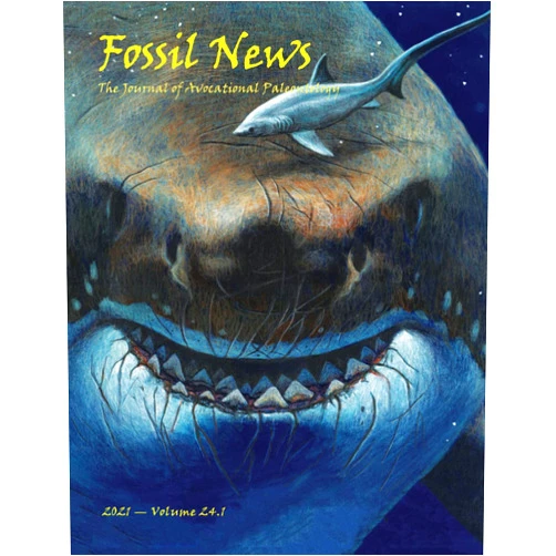 Wendell Ricketts,Jack Wilkin,Esther van Hulsen,Donald R. Prothero,Kate LoMedico Marriott,Anya Pearson Fossil News: The Journal of Avocational Paleontology: Volume 24.1, 2021
