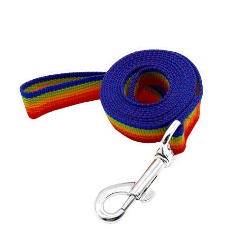 TAIDA Nylon Dog Training Leash, Traction Rope, 4/5/6 Feet Long, 3/4 Inch 1 Inch Wide, for Small and Medium Dogs (1'' x 4 FT, Rainbow)