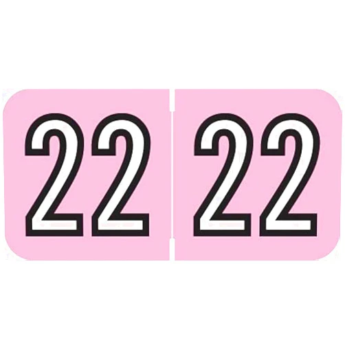 Doctor Stuff - 2022 Labels, Amerifile Compatible Series, Pink/Black Colored Year Stickers for End Tab File Folders, 500/Roll, 1 Roll, 3/4
