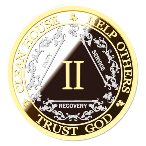 GOSIN Silver & Gold 1-10 Years Alcoholics Anonymous Medallion AA Coin Capsule Included (Two Years)