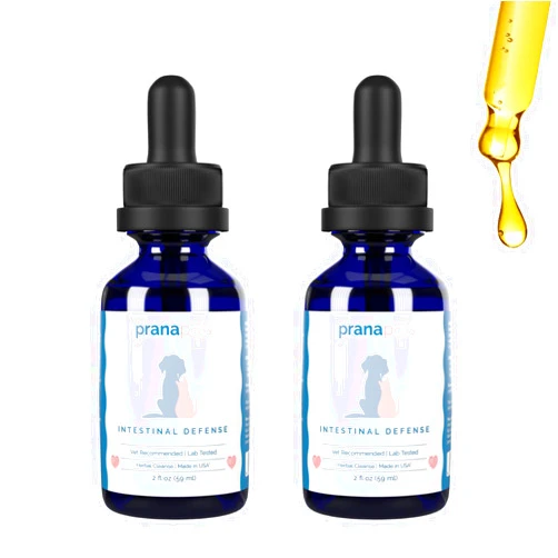 PranaPets Intestinal Defense Supplement for Dogs & Cats | Naturally Helps Digestive Issues in Pets | Herbal Formula | 2-Pack
