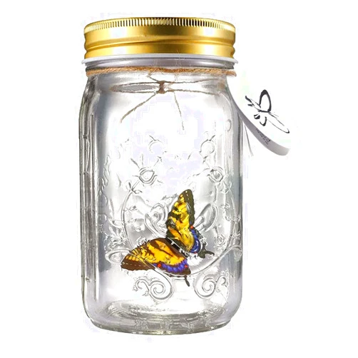 My Pet Elephant Animated Butterfly in A Jar, Xafissy Butterfly Jar That Moves with LED Light Romantic Glass Animated Butterfly Jar Battery Operated Butterfly Collection Gift for Girls and Boys (Yellow)