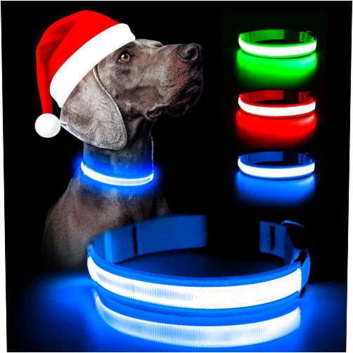 Weesiber LED Dog Collar - Waterproof Light Up Dog Collars - Rechargeable Flashing Dog Collar - Reflective Puppy Collar - Glowing Dog Lights for Night Walking (Blue, X-Large)