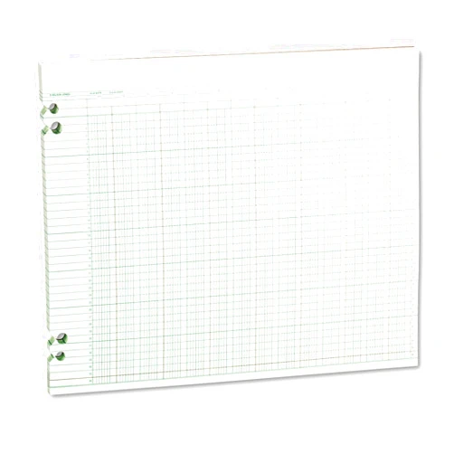 Wilson Jones WLJG3024 Green Columnar Ruled Ledger Paper, Double Page Format, 24 Columns and 36 Lines per Page, 11 x 14 Inches, 100 Sheets per Pack (WG30-24A)
