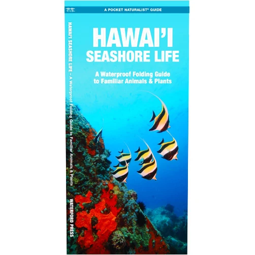 J.M. Kavanagh,Raymond Leung Hawai'i Seashore Life, 2nd Ed (Nature Observation North America)