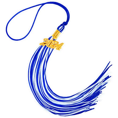 Lhocm Graduation Tassel 2024, Graduation Cap Tassel 2024 Tassels for Graduation Cap 2024 Graduation Hat Decoration Tassel with The 2024 Year Gold Charm Blue White