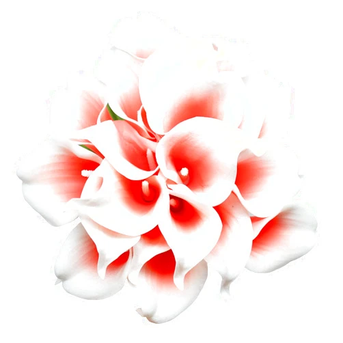 ALIERSA 10 Heads Mini Calla Lily Bridal Wedding Bouquet Real Touch Flower Bouquets (Coral in White)