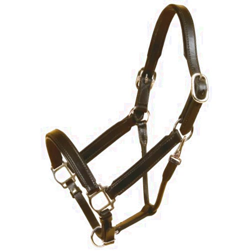 Tory Leather Bridle Leather Padded Halter with Nickel Hardware