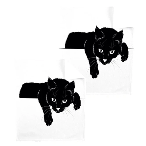Doterii Washcloths Black Cat Wash Cloths 2 Pcs Small Cotton Wash Towels for Kitchen Bathroom