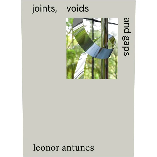 Adriano Pedrosa,Amanda Carneiro,Leonor Antunes,Briony Fer,Clara Kim,Grant Watson Leonor Antunes: Joints, Voids and Gaps