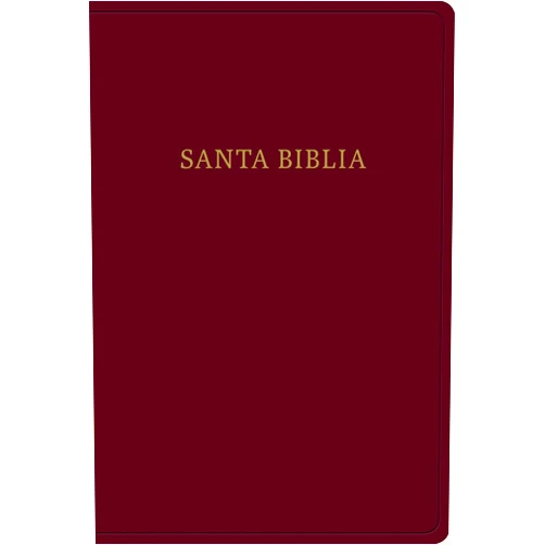B&H Español Editorial Staff Biblia Reina Valera 1960 Letra Gigante. Piel fabricada, negro / Giant Print Bible RVR 1960. Bonded Leather, Black (Spanish Edition)
