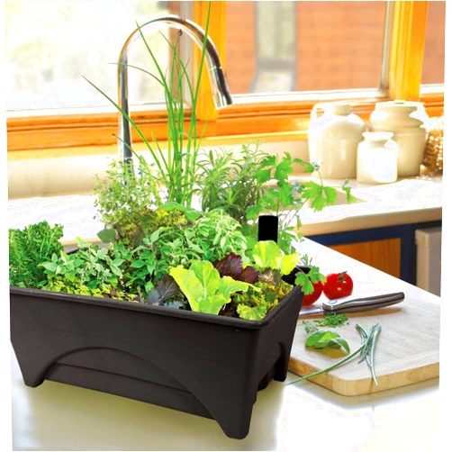 Emsco Group Start Pickin' Raised Bed Grow Box – Self Watering and Improved Aeration – Starter Box or Small Herb Garden Growing - 10