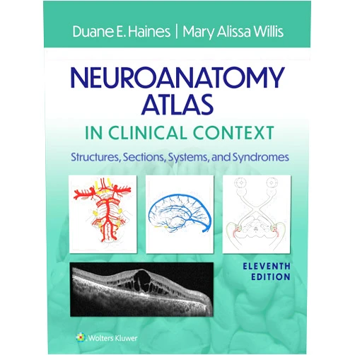 Duane E. Haines,M. Alissa Willis Neuroanatomy Atlas in Clinical Context: Structures, Sections, Systems, and Syndromes