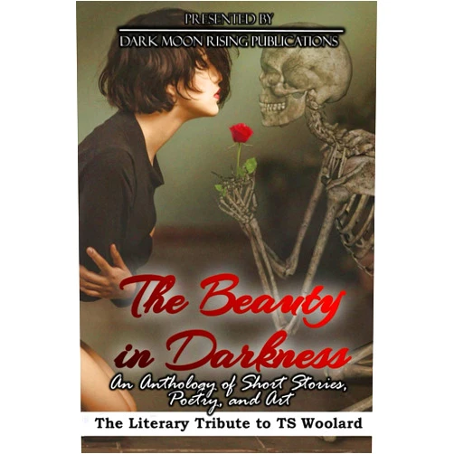 By Kasey Hill (Author), Rob Tannahill (Author), Sergio Palumbo (Author), Pixie Bruner (Author), Lindsey Goddard (Author), Scarlet Norton-Duperre (Author), Gerri R. Gray (Author), Ian Klink (Author), Katherine Kerestman (Author), D.M. Harring (Author) & 6 more The Beauty in Darkness: The Literary Tribute to TS Woolard