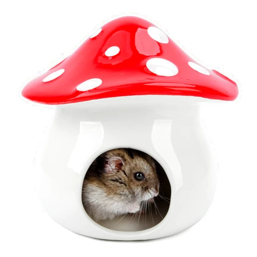 Niteangel Ceramic Hamster Habitat Hideout: - Hideaway House for Syrian Dwarf Hamster Mice Gerbils Lemmings or Other Similar-sized Small Pet (Mushroom-Shaped)
