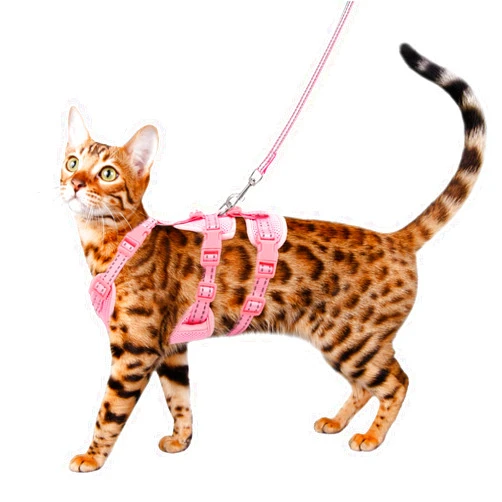 GoGoPaw Cat Harness and Leash Set for Walking, Escape Proof Soft Vest Harness for Cats, Adjustable Reflective Kitten Harness for Small Medium Large Cats, Breathable Kitty Harness, Pink M