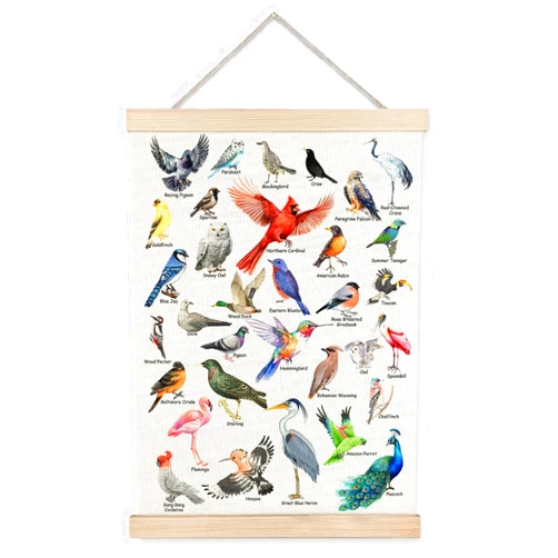 JINYO Bird Wall Decor, Bird Wall Art Poster, Bird Pictures Wall Decor, Bird Decor for Home, Gifts for Bird Lovers, Bird Prints Wall Art for Home Classroom Kids Room, 12x16 Inches