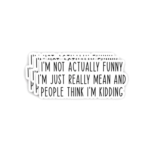 LAVENDRIX (3pcs) I'm Not Actually Funny I'm Just Really Mean and People Think I'm Kidding Sticker Funny Sayings Sarcasm Quotes Vinyl Decal for Tumbler Laptop Kindle Water Bottles Books Phone - Size 3x1.3