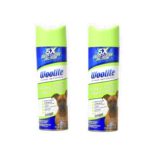Woolite One Step Foam Carpet Cleaner - 22 oz - 2 pk