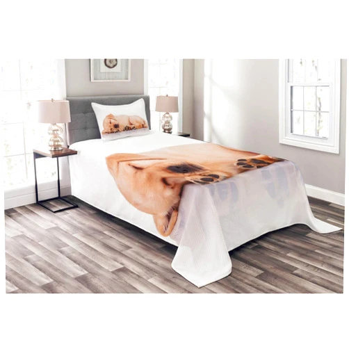 Ambesonne Dog Paws Bedspread, Side View of a Little Labrador Retriever Sleeping, Decorative Quilted 2 Piece Coverlet Set with Pillow Sham, Twin Size, Warm Taupe White