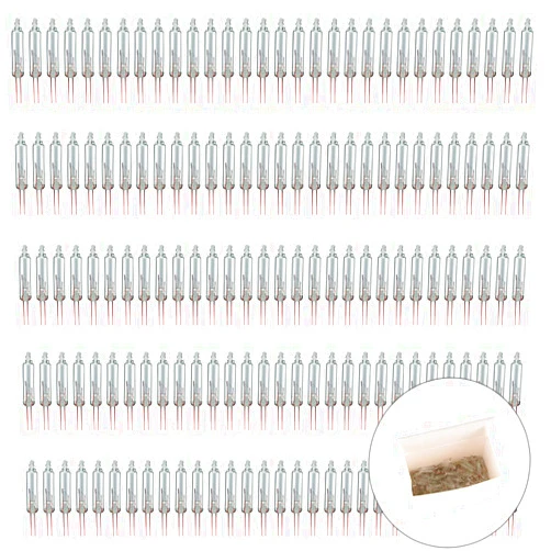 Blue_Stone Christmas Replacement Mini Light Bulbs 2.5 V 0.17 A Clear Glass Bulbs for Christmas Trees Incandescent Lights | 150 Pcs