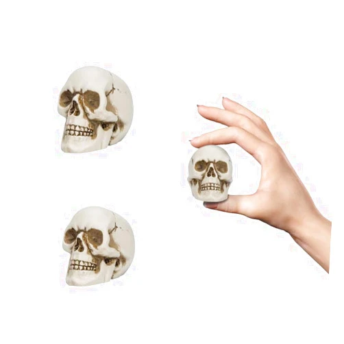 READAEER Resin Skull 2 pcs/Set, Mini Skull Model for Home Decoration, Halloween Skull Statue, Human Skull Head Bone Model for Desktop