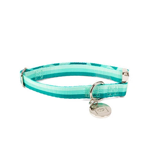Now House by Jonathan Adler Now House for Pets by Jonathan Adler Jonathan Adler: Now House Green Chroma Collar, Small | Stylish and Fashionable Way to Keep Your Dog Looking Great | Cute and Adorable Dog Accessories for Pets