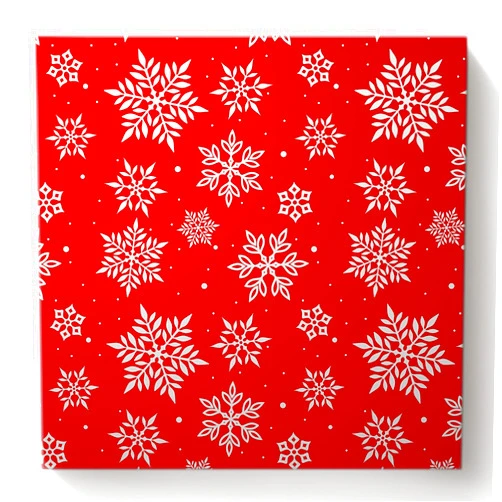 Savannan DIY Paint by Numbers, Christmas Winter Decoration White Snowflake Geometric Pattern Red Framed Canvas Acrylic Painting Kit Drawing Paintwork for Adults Kids Beginner, 16