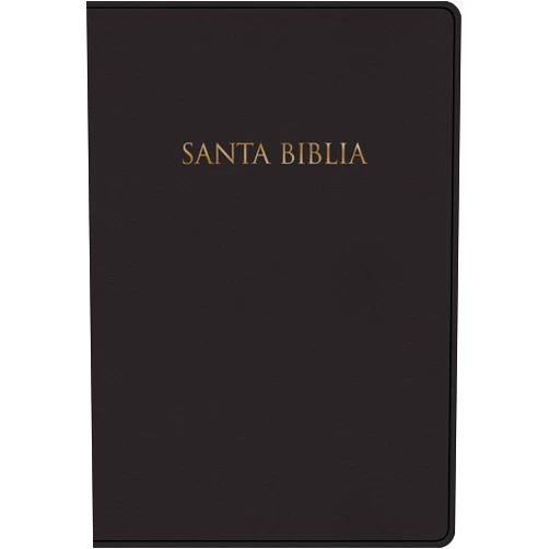 B&H Español Editorial Staff Biblia Nueva Versión Internacional para Regalos y Premios, Tapa dura, negro | NVI Gift and Award Holy Bible, Hardcover, Black (Spanish Edition)