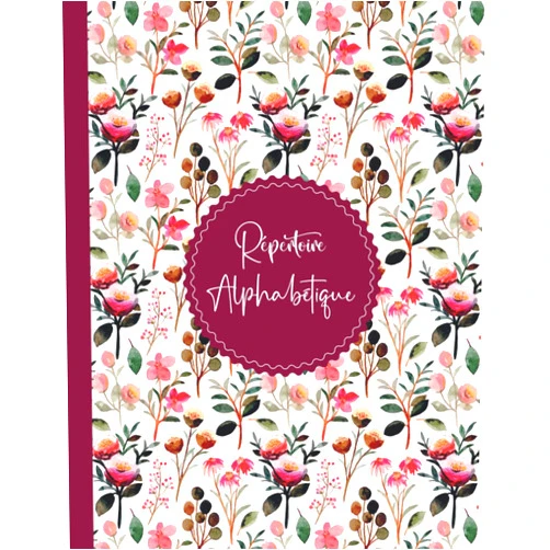 BMD FR PUBLISHING Répertoire Alphabétique: Carnet de Notes - 110 Pages en ordre alphabétique de A à Z ( 4 Pages pour chaque lettre ) En Grand Format Pratique A4 - 8.5 x 11 in (French Edition)