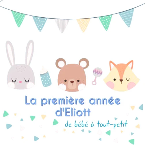 BabyMemories FR Publishing La première année d'Eliott - de bébé à tout-petit: Album bébé à remplir pour la première année de vie - Album naissance garçon (French Edition)