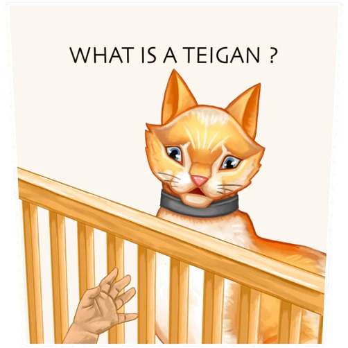 By Melissa Colon (Author), Erica Willey (Illustrator) Format: Kindle Edition What is a Teigan?